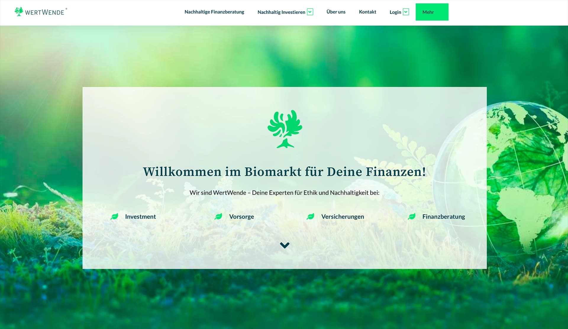 Screenshot: Website vorher